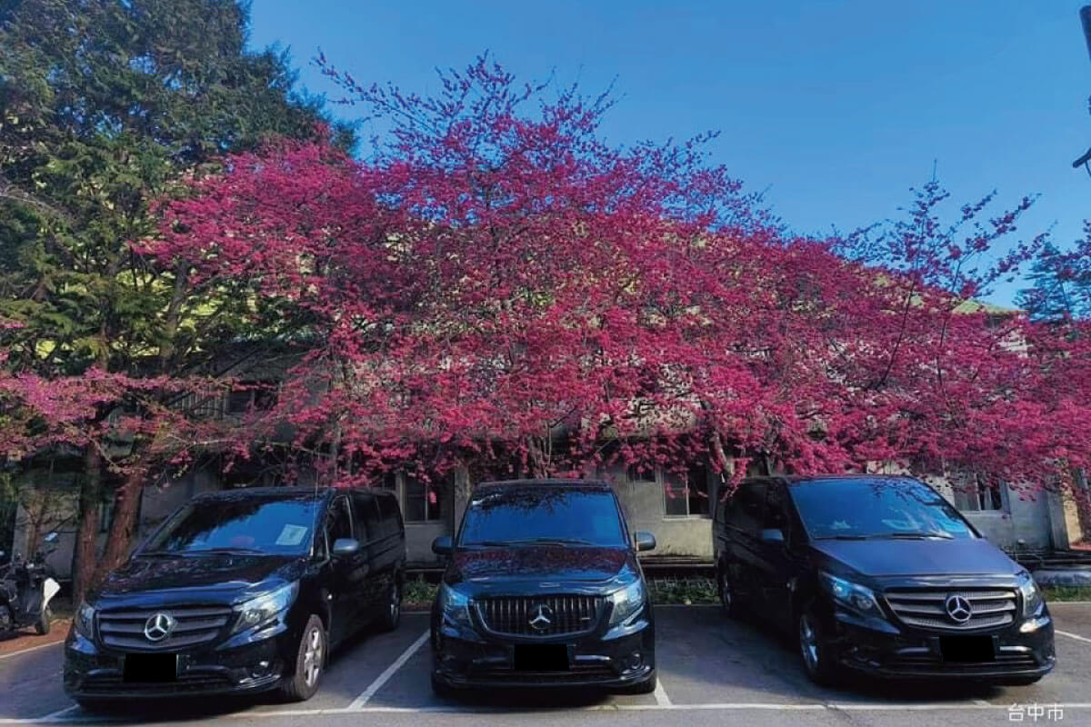 Wanmateng Taiwan Car Rental -Wanmateng Stories | Family Trip to Wuling Farm: A Comfortable Journey with Three Mercedes 9-Seaterspicture Wanmateng Taiwan Car Rental -Wanmateng Stories | Family Trip to Wuling Farm: A Comfortable Journey with Three Mercedes 9-Seaterspicture
